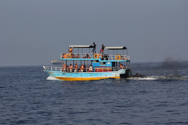 Whale watching boat