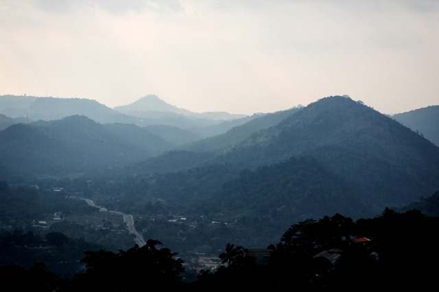 Amaya Hills